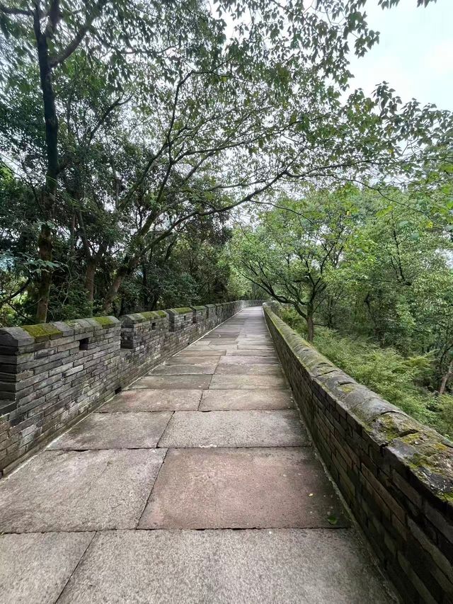 「觸摸千年心跳：在臨海江南長城，與歷史撞個滿懷」——國慶前夕