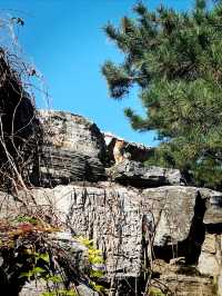 秋日奧林匹克公園-南園私藏打卡路線