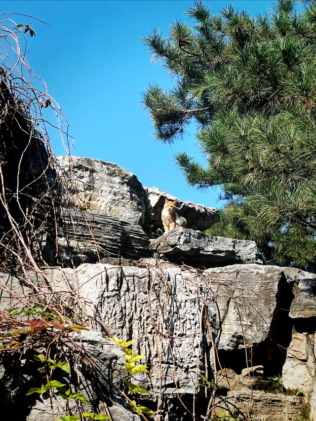 秋日奧林匹克公園-南園私藏打卡路線