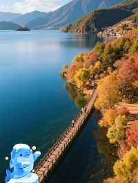 飛向彩雲之南——瀘沽湖