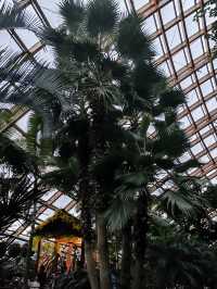 國慶節自駕遊-3號晚上太原植物園