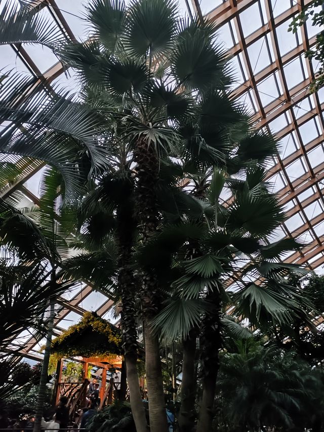 國慶節自駕遊-3號晚上太原植物園