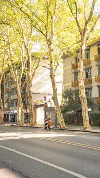 這個秋天總要去趟武漢吧，感受這座城市的秋日私語