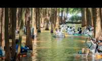昆明被大部分人忽略的水杉公園 | 本地人私藏