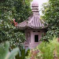 Walking Through Qibao Ancient Town: A Journey of Faith and Culture 🏮🛕⛪️