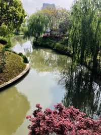藏在上海的寶藏生態園，奉浦四季繪就現實版綠野仙蹤！