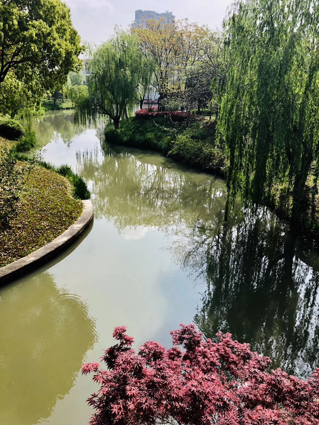 藏在上海的寶藏生態園，奉浦四季繪就現實版綠野仙蹤！