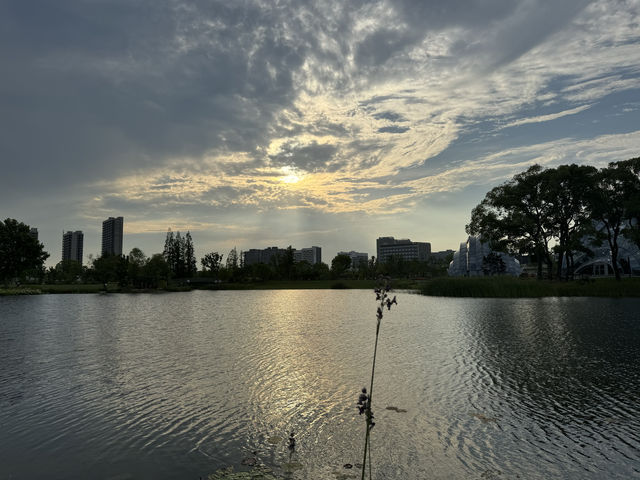上海日落打卡天花板