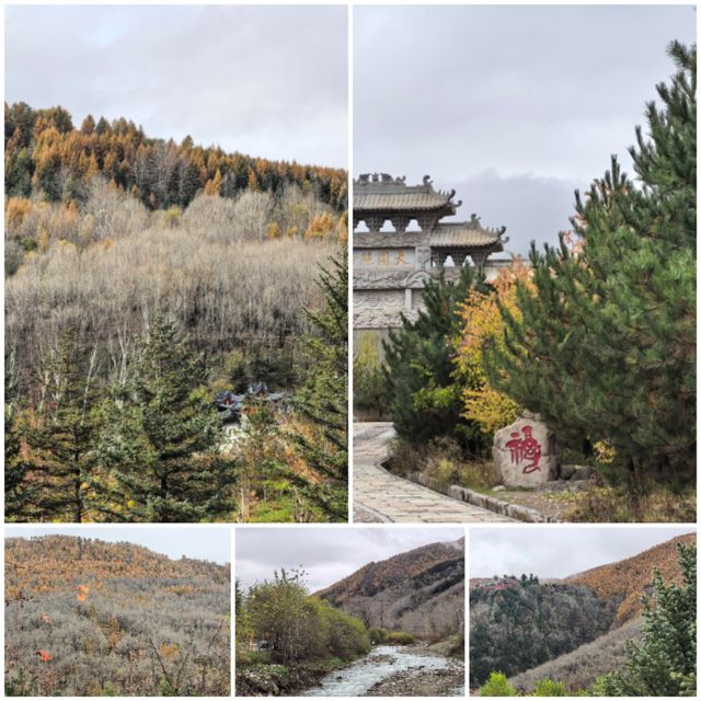 五臺山紅葉觀賞