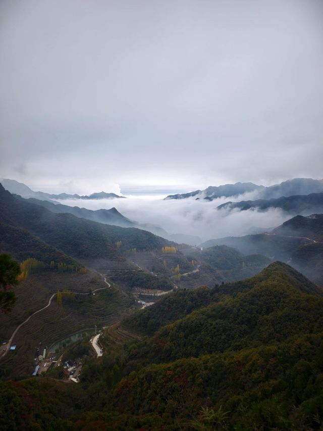鄭州｜週末活動彙總賞秋專線
