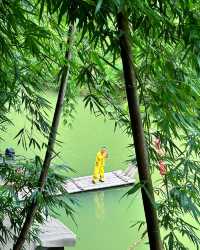 |在山水畫卷裡找到了慢生活!