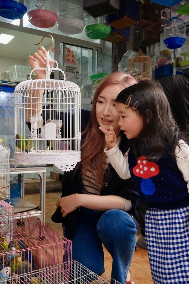 她鏡頭裡的她|走進復古調調的花鳥市場 她鏡頭裡的她|走進復古調調的花鳥市場