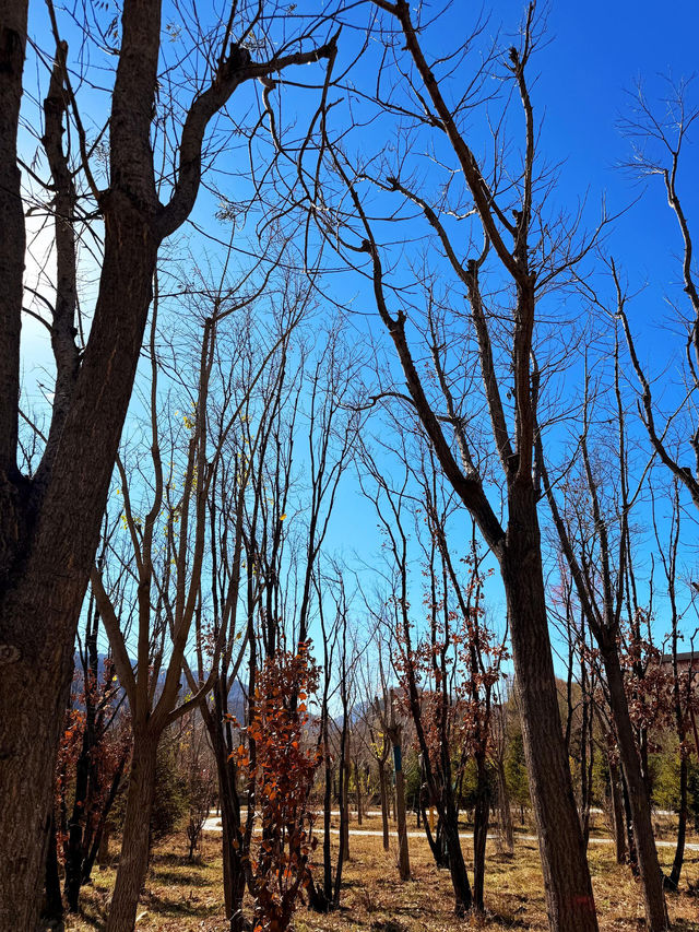 五臺山祈福全攻略|赴一場文殊之約,願六時吉祥 五臺山祈福全攻略|赴一場文殊之約,願六時吉祥