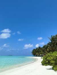 馬爾代夫夢幻海島之旅,7天6晚承包你的碧海藍天! 在這裡每一天都是透明的藍色,光是躺在吊床上看海