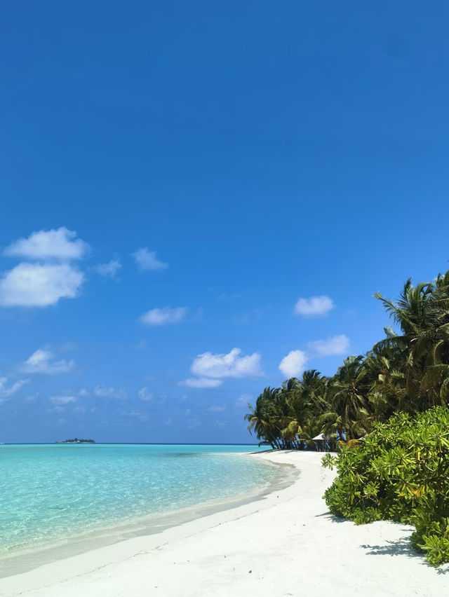 馬爾代夫夢幻海島之旅,7天6晚承包你的碧海藍天! 在這裡每一天都是透明的藍色,光是躺在吊床上看海 馬爾代夫夢幻海島之旅,7天6晚承包你的碧海藍天! 在這裡每一天都是透明的藍色,光是躺在吊床上看海