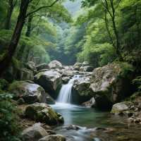 快來這裡開啟一場穿越時空的旅行吧！