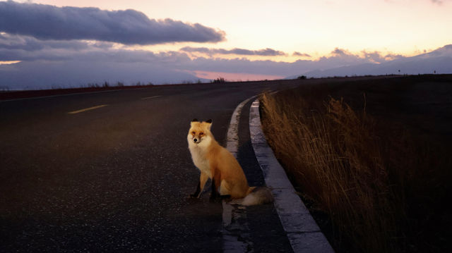 對於在成都忙碌的打工人來說，賽里木湖絕對是讓你暫時逃離都市喧囂、 recharge 能量的完美選擇。