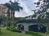 躲進觀瀾湖的秋天這份打卡攻略太治癒了!