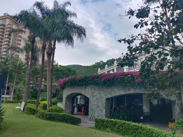 躲進觀瀾湖的秋天這份打卡攻略太治癒了! 躲進觀瀾湖的秋天這份打卡攻略太治癒了!