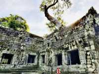 探秘@柬埔寨吳哥窟