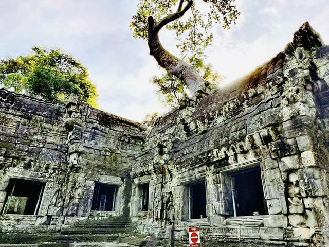 探秘@柬埔寨吳哥窟