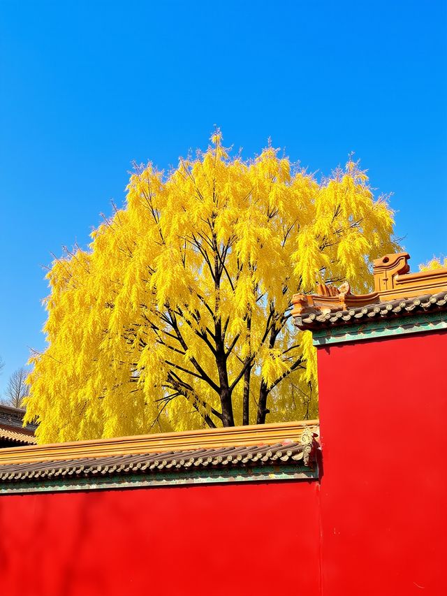 唔好再去擠九寨溝啦！我搵到一個藏喺甘肅天水嘅「隴上小九寨」！