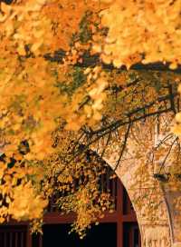 免費洗衣房專為奔波在外的你準備,鴻達酒店