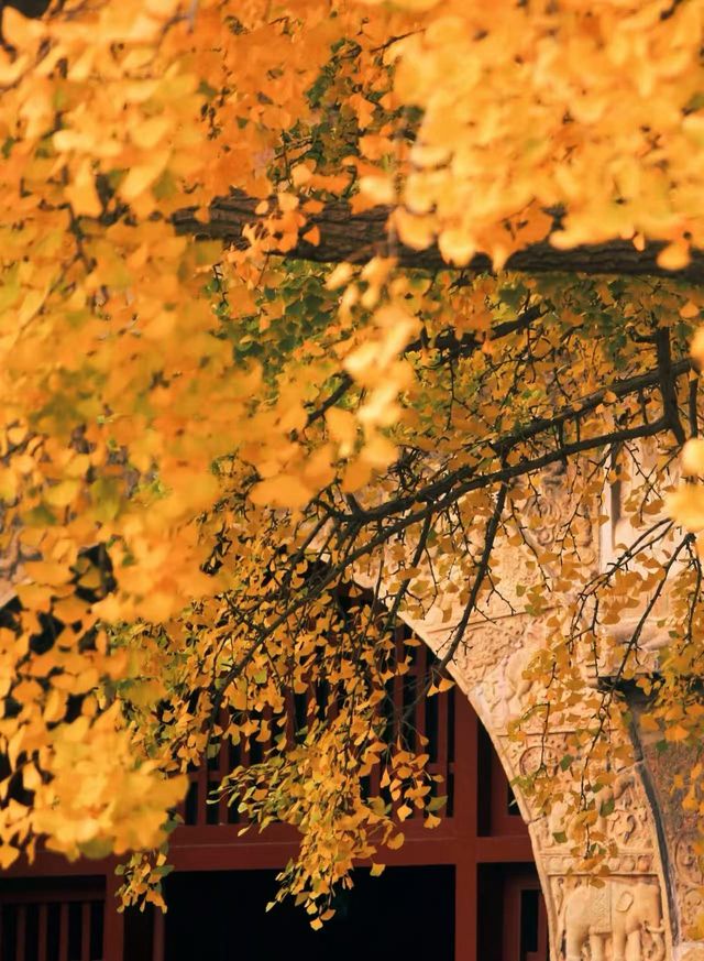 免費洗衣房專為奔波在外的你準備,鴻達酒店 免費洗衣房專為奔波在外的你準備,鴻達酒店