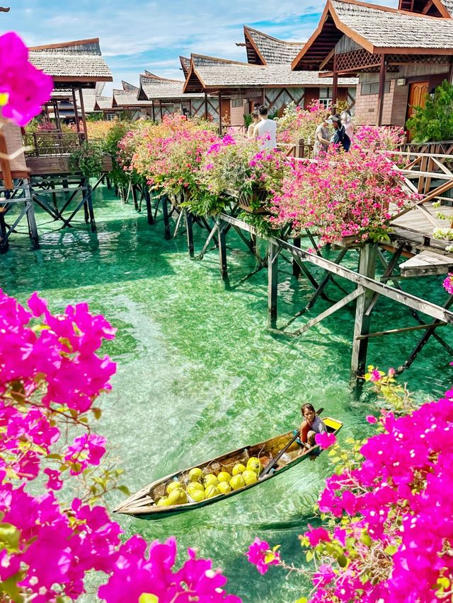 亞庇&仙本那5天4夜｜這片果凍海讓我徹底淪陷了