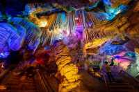 洛陽36家景區官宣：免門票！有優惠！