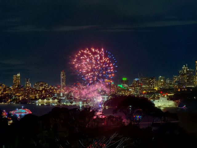 住進動物園的夜！Taronga最美棲息之旅