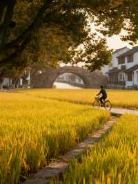 私藏！朱家角小眾玩法+民宿隱藏福利大公開