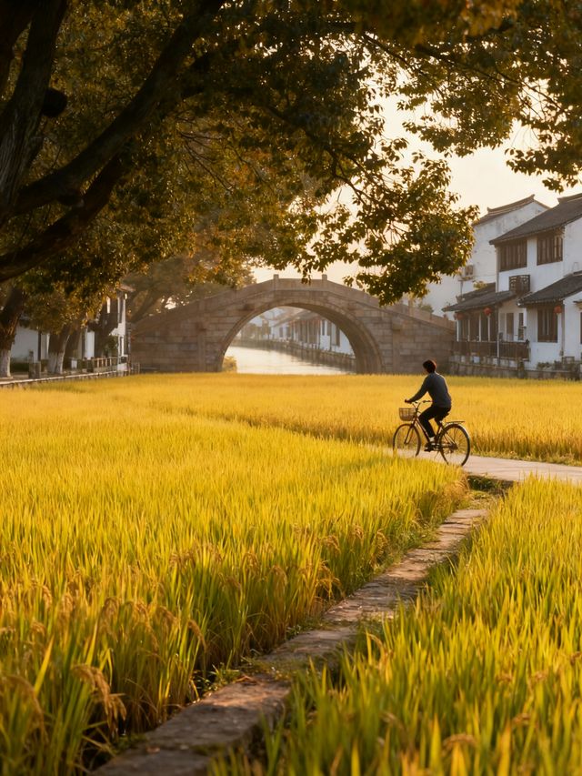 私藏！朱家角小眾玩法+民宿隱藏福利大公開
