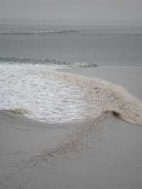 是小學課本上的海寧鹽官錢塘江觀潮