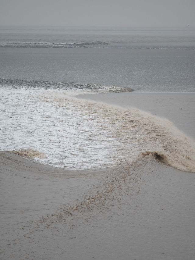 是小學課本上的海寧鹽官錢塘江觀潮