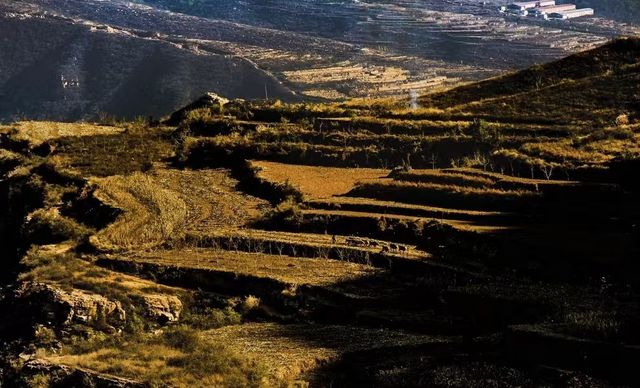 藏在太行山裡的「川西寨子」!600年石頭迷宮村,紅葉+古建 藏在太行山裡的「川西寨子」!600年石頭迷宮村,紅葉+古建