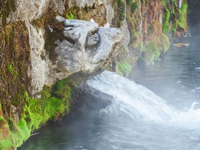 誰懂啊！課本裡的濟南冬天，真的美到我失語