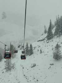 可可托海滑雪攻略 | 打蠟免費！3100米絕美雪景！