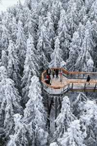 是童話裡的雪景啊,這裡美哭了!