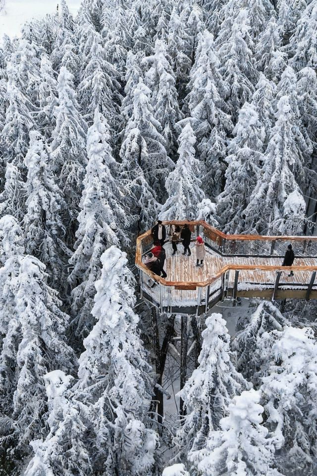是童話裡的雪景啊,這裡美哭了! 是童話裡的雪景啊,這裡美哭了!
