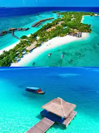 馬代滿月島談成內部價!白菜二字都寫臉上了