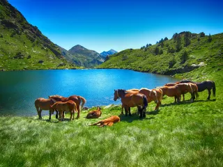 20-Day Multi-Country Spain and More Travel Guide Quick Code