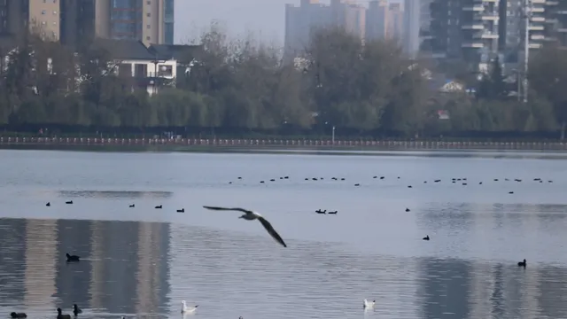 高鐵1小時逃離西安邂逅漢中江南韻與三國風