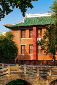 嶽麓書院旁秘徑！長沙秋日打卡天花板