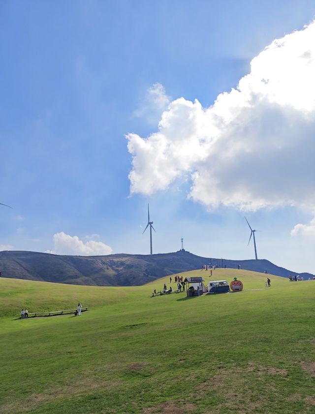 霧淞後遇晴天 影相+酒店雙絕