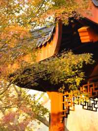 武漢人的私藏拍照聖地堤角公園邂逅初冬浪漫