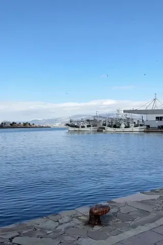 Hakodate | 2-Day Foodie and Sightseeing Express Detailed Guide