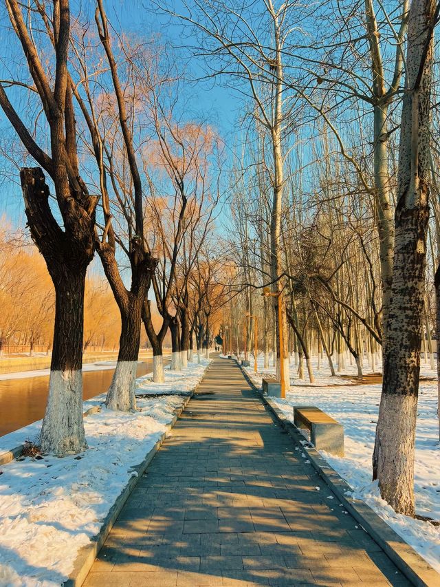 北方限定浪漫!瀋陽的雪景封神了 北方限定浪漫!瀋陽的雪景封神了