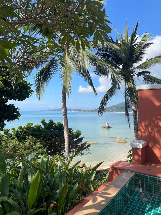 泰國蘇梅島的萬麗度假體驗