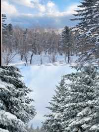 一場說走就走的雪嶺朝聖誰不愛這片北國雪鄉!